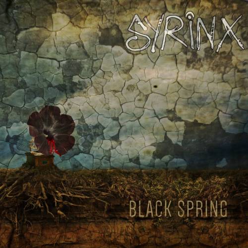 Black Spring